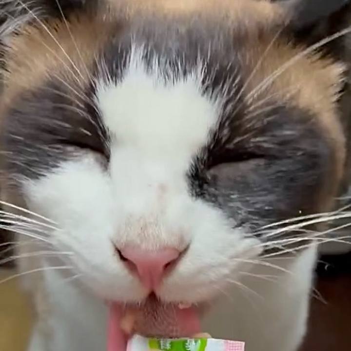 A1a4e852 fd93 4fa4 8c5f 8823ab0760d8 1750939664047