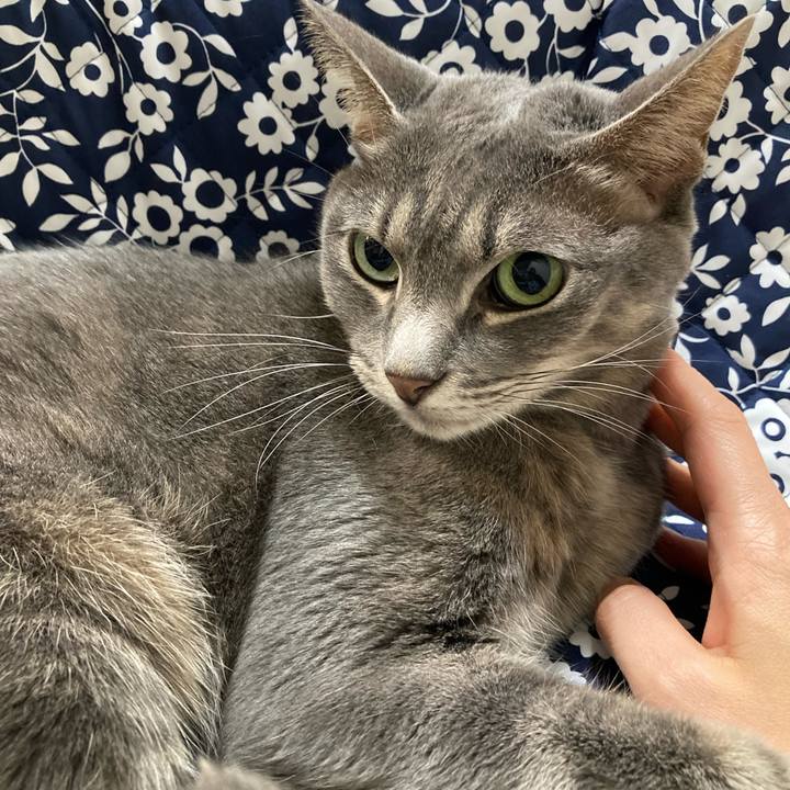 A1a4ec77 fd25 4311 88e2 85c197ddac9a 1730938733474