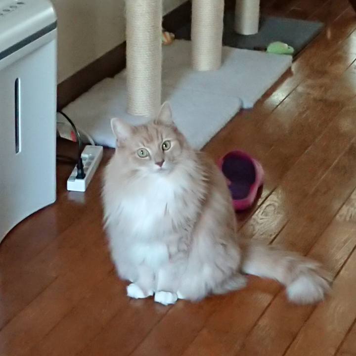 A1a4f6ec b1dd 423f ad4d 3c606ee0115a 1541556828274