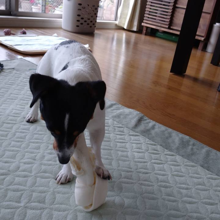 A1a52bda 8ef2 4019 8f32 a9380ec946cf 1590544776034