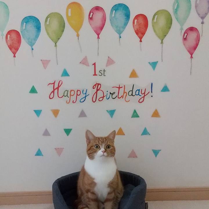 A1a54186 1ab7 494a b48b 49f1f69f2316 1639467308487