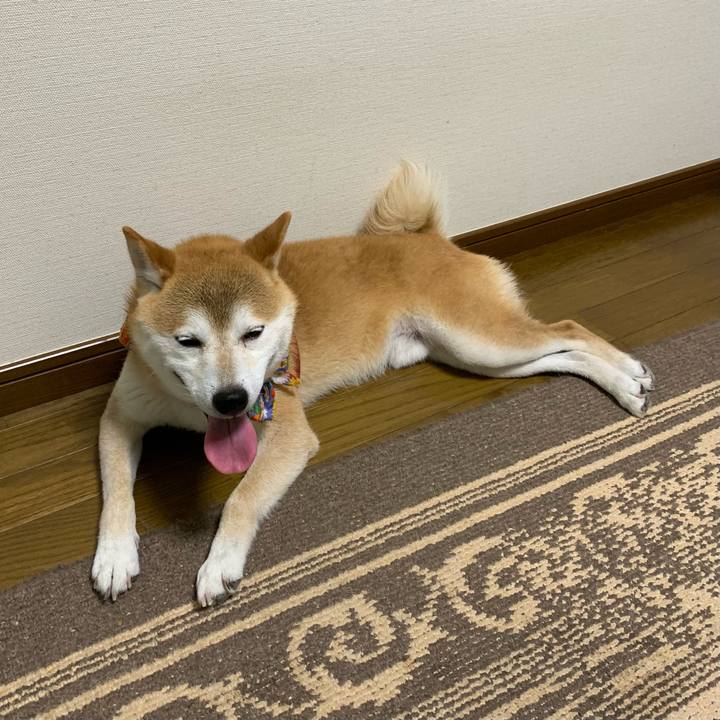 A1a545aa fc45 4416 8208 858864e9be01 1627560584317