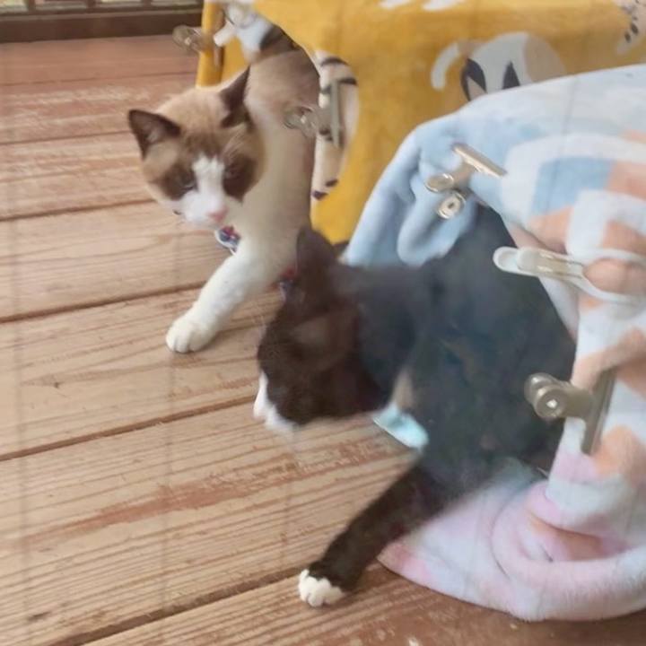 A1a54df6 1175 41c8 baab e0ac3402a3d0 1764229818509