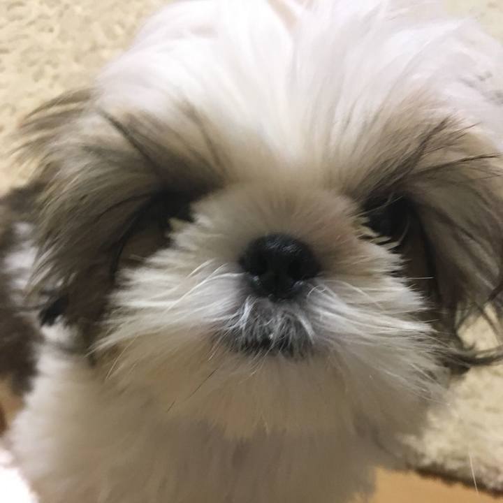 A1a5571b a81a 4c41 b9da 819a9e7dd21f 1537049965255