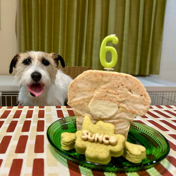 A1a55d8f bbe4 4666 b650 d31686ef83f9 1741007819749