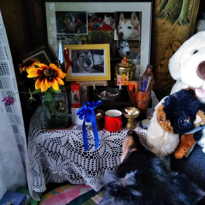 A1a57e4d be76 459e b1e2 d470782b798c 1531579342469