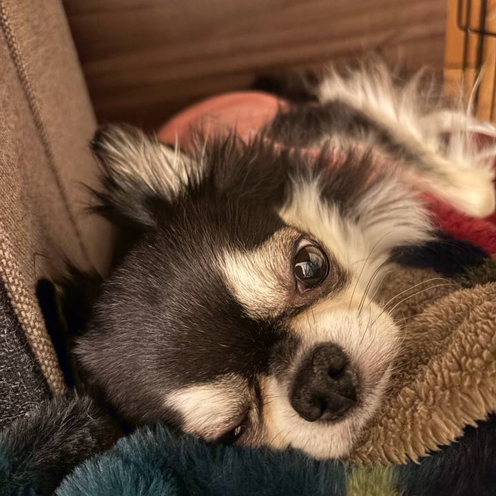 A1a5c77f 0b19 459b 96fb 683fdc59483f 1737820920763