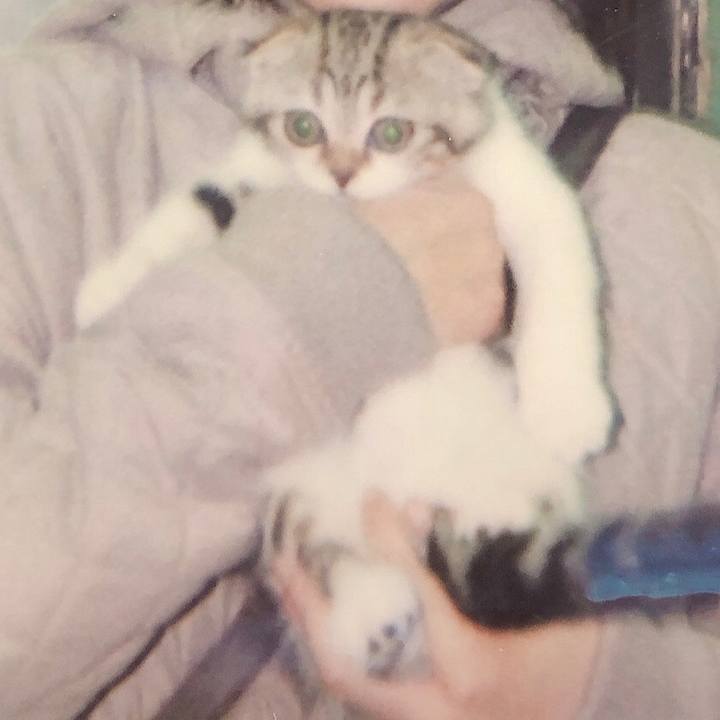 A1a5cc3b 7cd7 46ed ba10 90cfbe66c20f 1589948187729