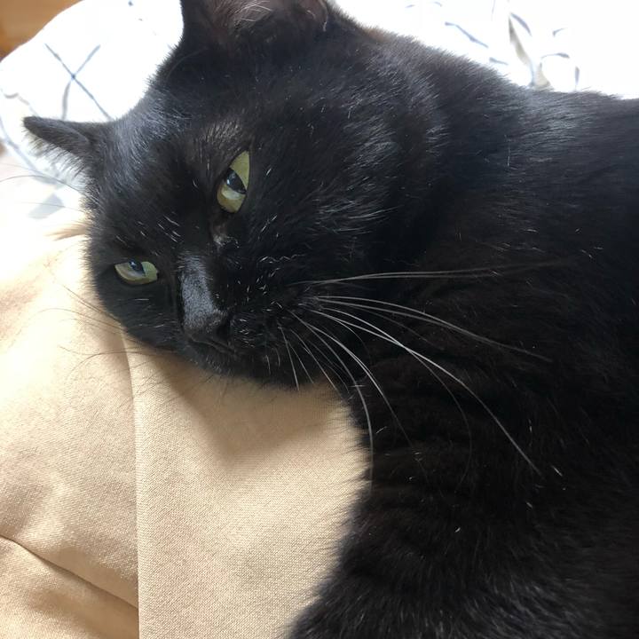 A1a5f09e 53ab 4310 9c19 b008ca0b53c4 1537418424277