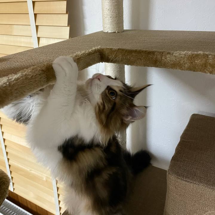 A1a5fa75 f2e8 4ef7 8a1a 5d6b2d47dd8b 1636321378614