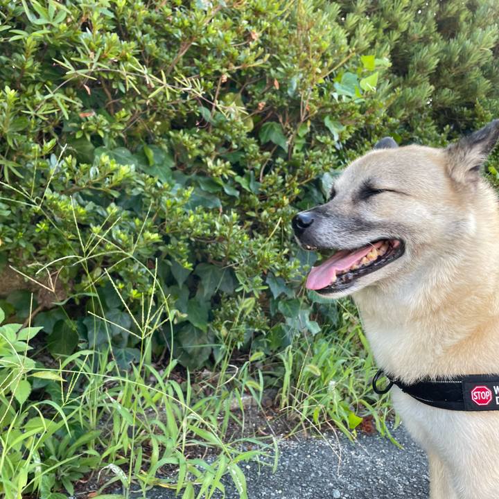 A1a604cd 6f2b 40bd 8715 75c1159deaaa 1722254474543