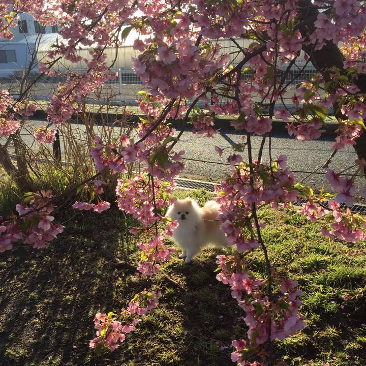 A1a60cab 3863 4071 a81d a7c9d8ec7ebf 1583192731089