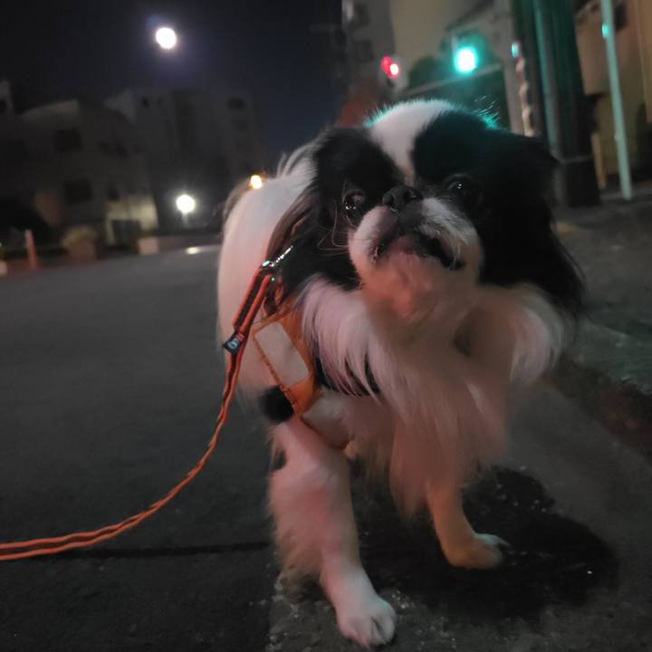 A1a6255d d7ba 4f67 895b a4a92b405eea 1764886598113