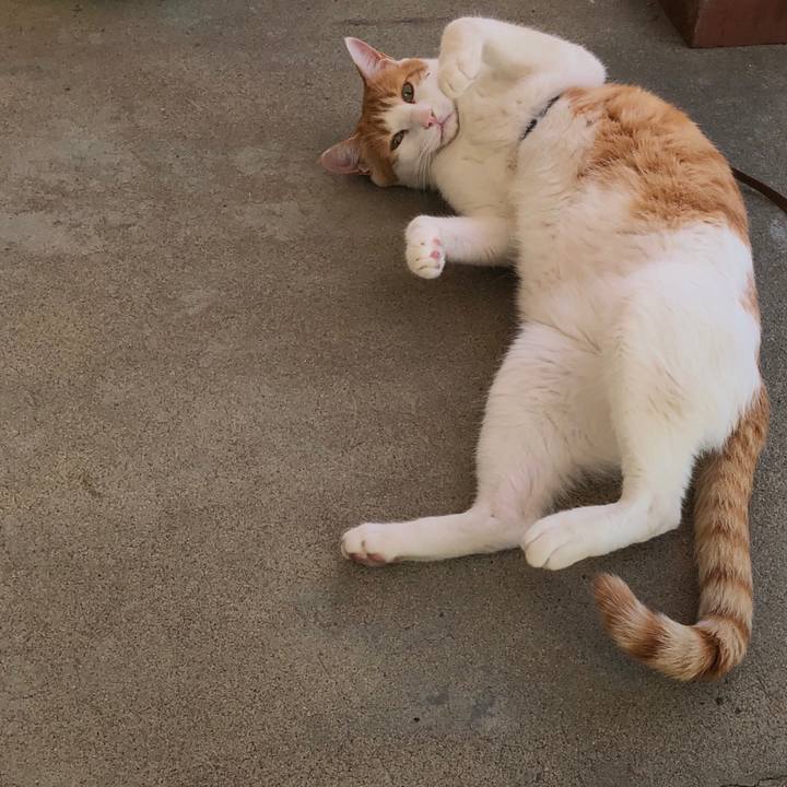 A1a64e39 17ee 4a6c b1c2 98c0384d8a48 1538460625743