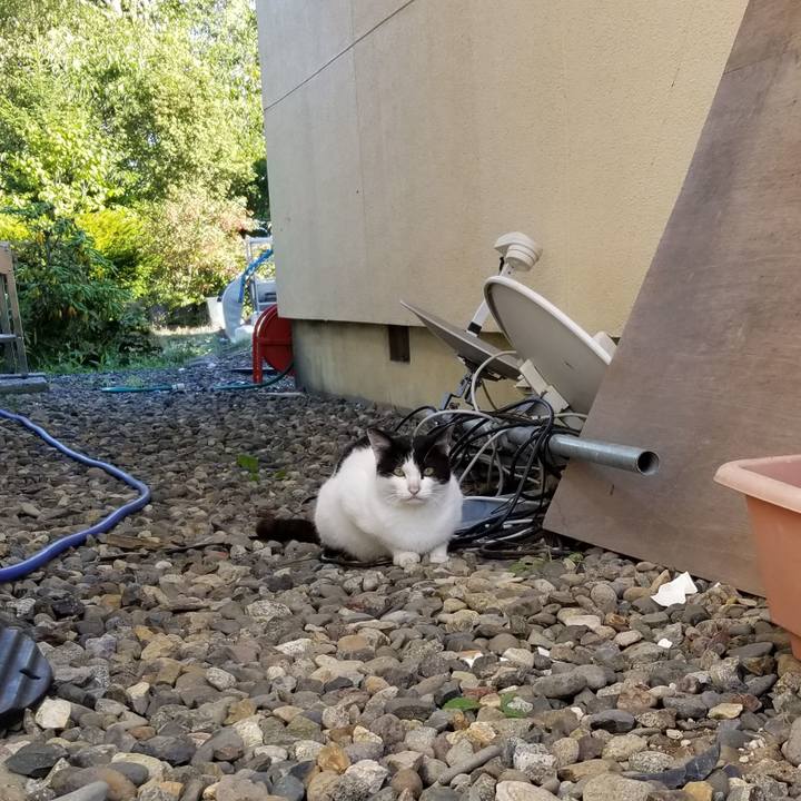 A1a697fe f31c 4b64 8a7d f561416774c7 1632744652574