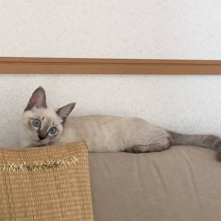 A1a6a5aa 2c96 4580 be47 0703dfaadbeb 1537659574900