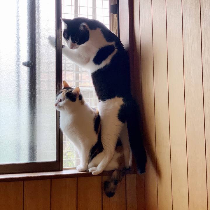 A1a6b2cc 873e 4ddf aada 1965e07a265e 1554089982158