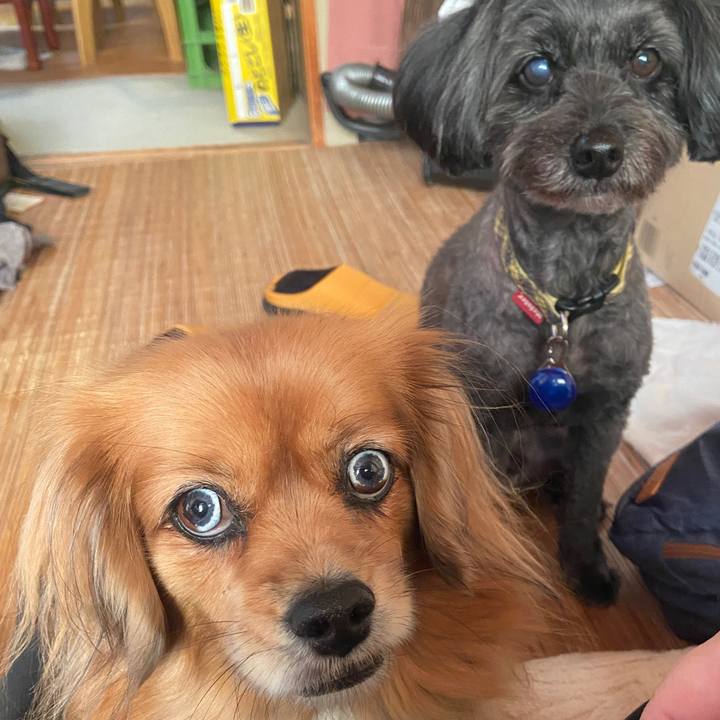 A1a6f2b6 3070 498d a86c 70ef3927160f 1668809629164