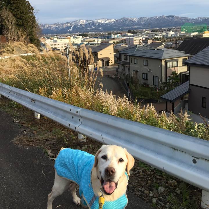 A1a70192 70df 4d28 baa3 d358dbc9d703 1574752675265