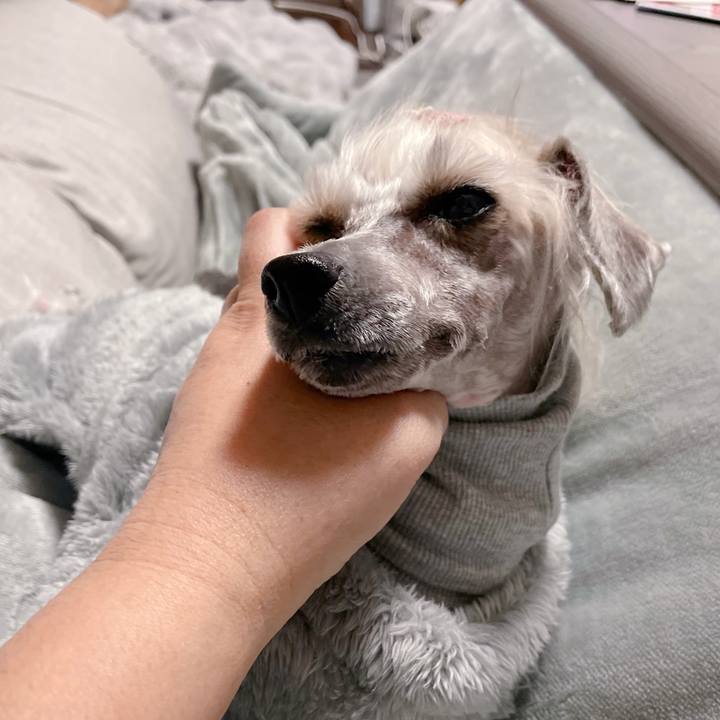 A1a7074e 2c7e 45ea a85b fd2a3d14a5d4 1768104006682