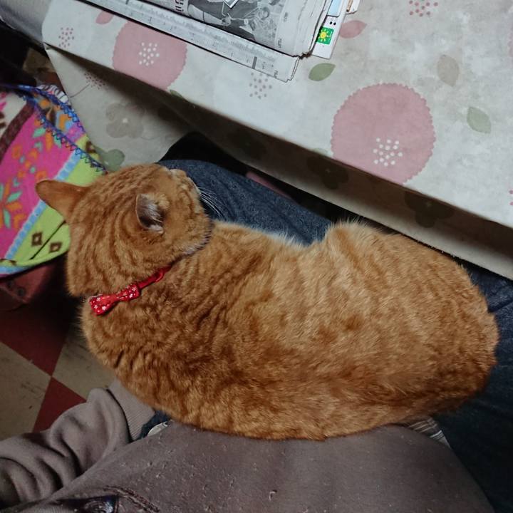 A1a70b16 5d0d 4c0d 8ae1 73e6cad4e665 1579120804617