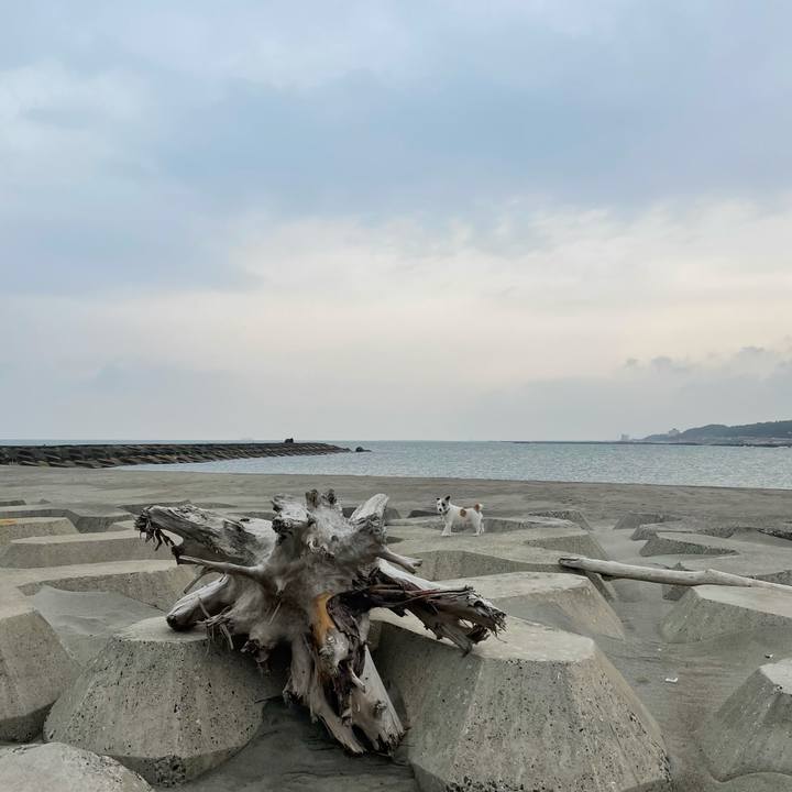 A1a74491 694f 4936 b9f4 406c7e95a66a 1616712340149