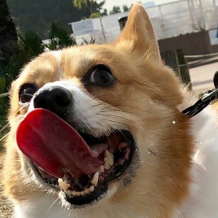 A1a74cce 7950 4eb6 99a3 d13ae7c70d77 1549621509628