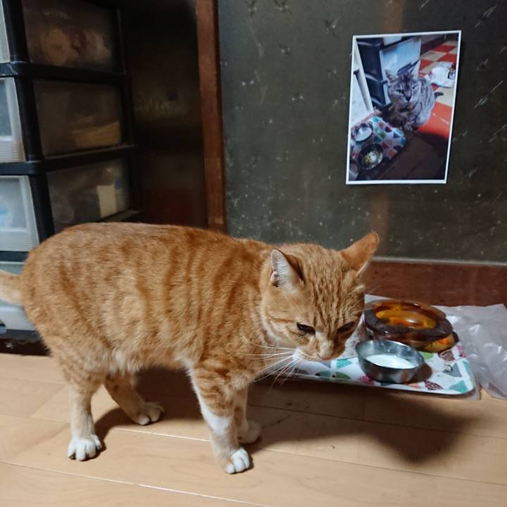 A1a77446 893c 418a a278 d144a36d7474 1602264523572