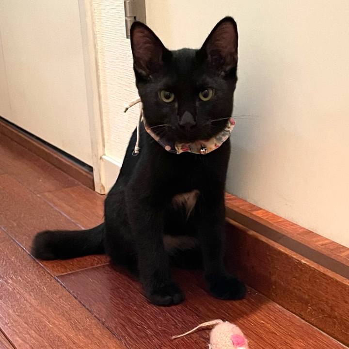 A1a7ae27 5ca3 491d a678 5a02c1eae10e 1756305731360