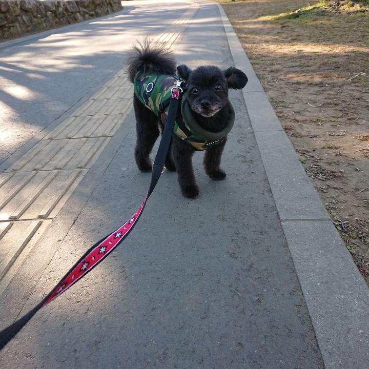 A1a7e402 6916 47f6 9490 23ebf22c82cc 1548569142127