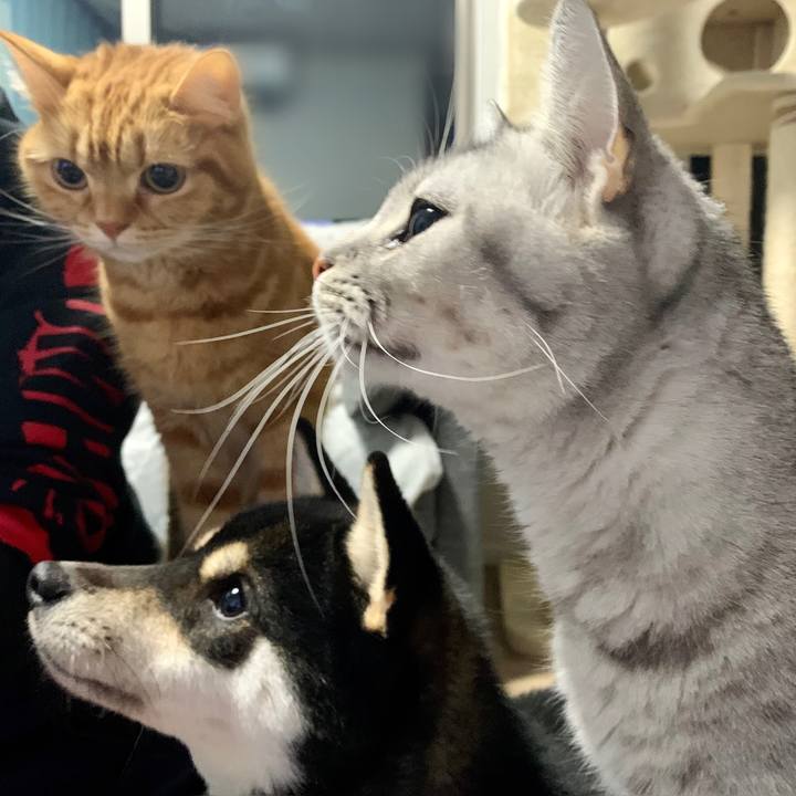 A1a7f9a6 6fcd 423c a522 1bebc123fd86 1642594757962