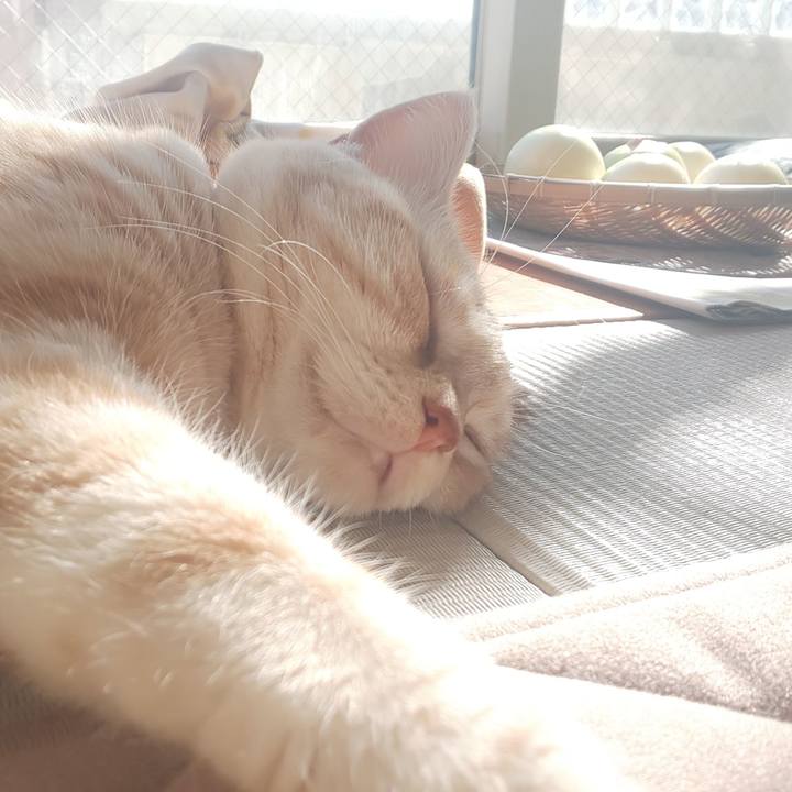 A1a80a4f 6bf1 4cee ab3d cb28cce70560 1541133617231