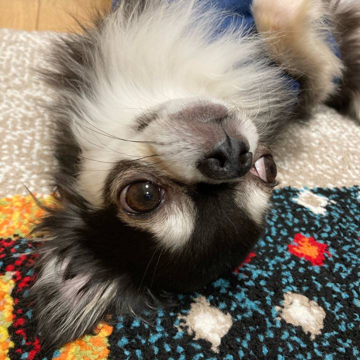 A1a819fe 5475 4d99 92a3 2314f295f409 1701600700154