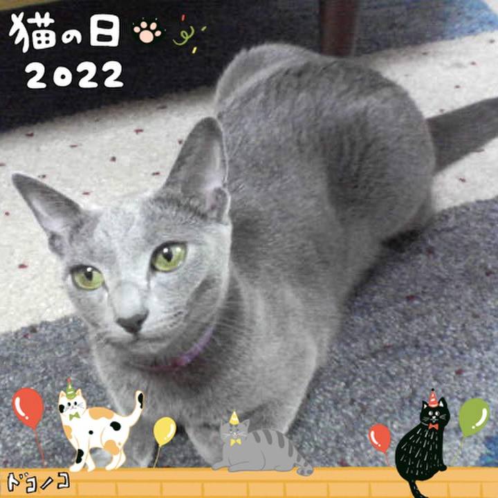 A1a82a3d 47f5 42e2 b1f8 ecf445fa1e39 1645498785310