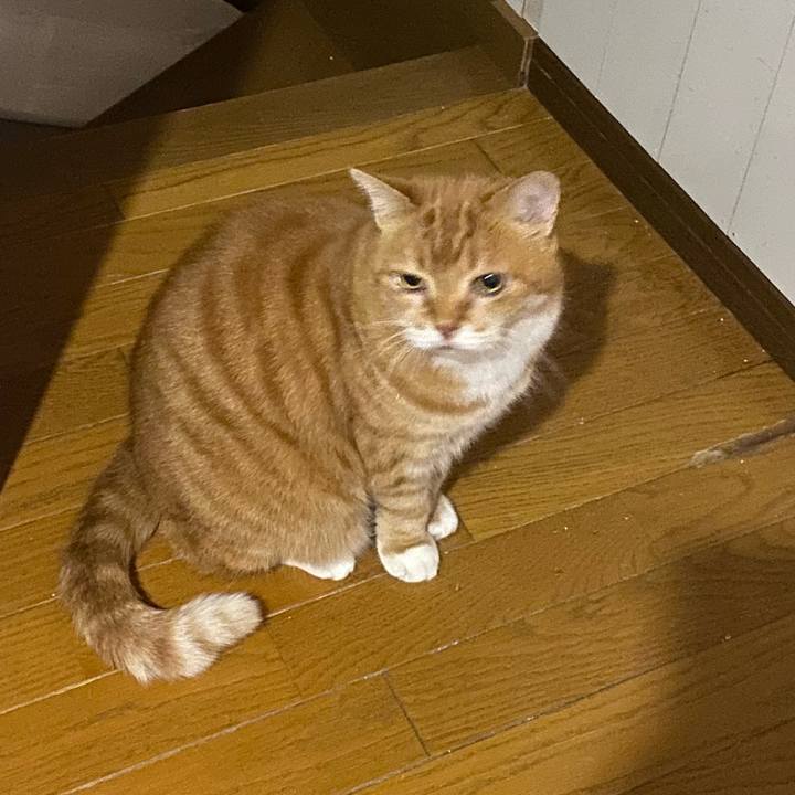 A1a84fc4 7b10 48bf bf43 cb74e3d56e7b 1698761845687