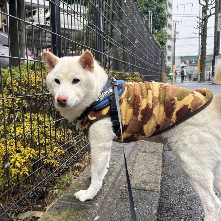 A1a85110 55e3 4bcd ad66 72b3c2da46e7 1770445682549