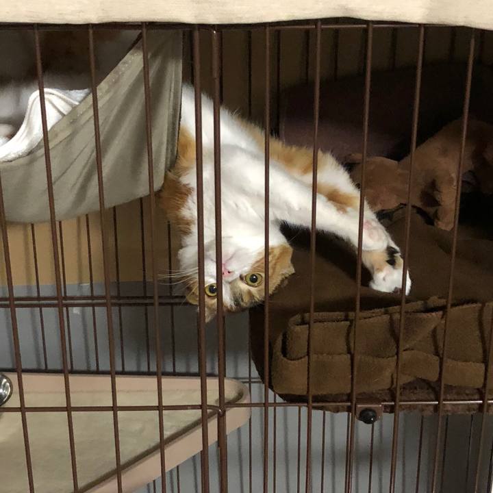 A1a86947 3474 49aa 986b 7eebfdcadd9c 1522056571982