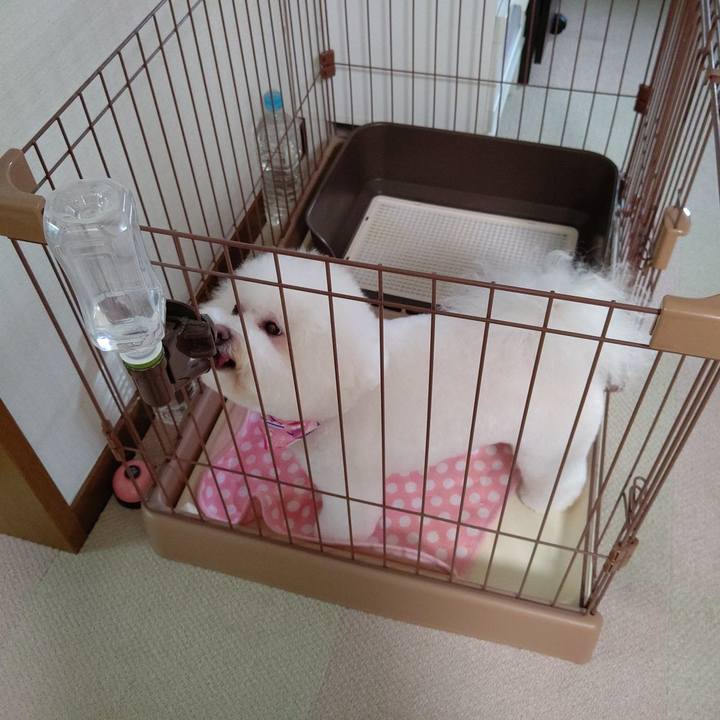 A1a87ab2 72c3 431b b391 3d3497861138 1661833714117