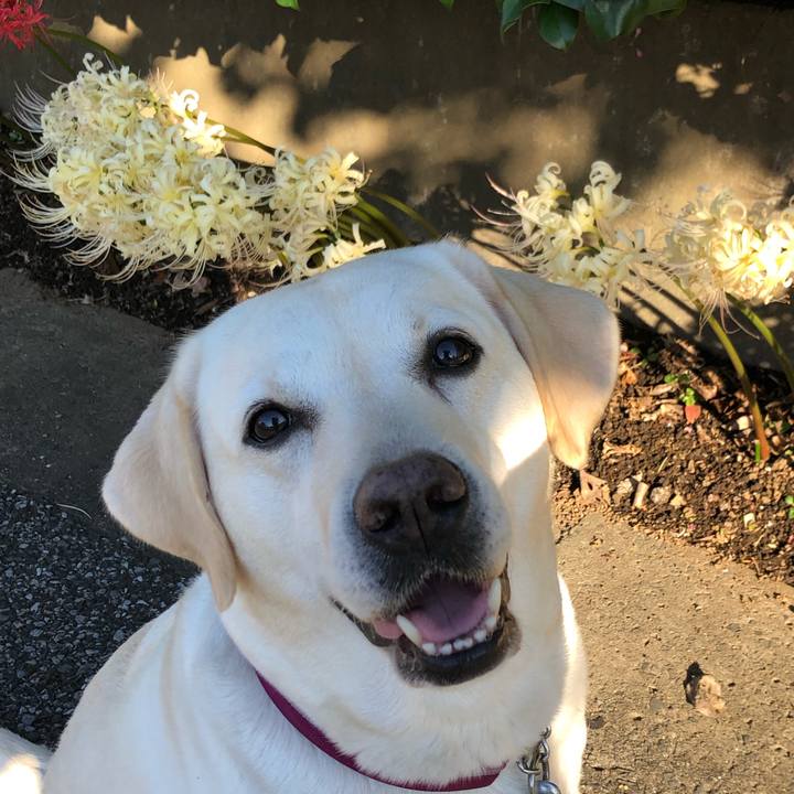 A1a87e54 a4ea 40aa 95fa a08ff5f7d9b9 1632091398067