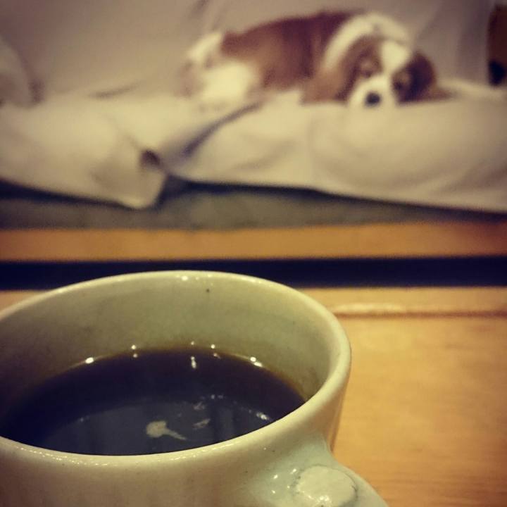 A1a89557 53e9 4b31 afb6 49f04a9ea33f 1521461430160