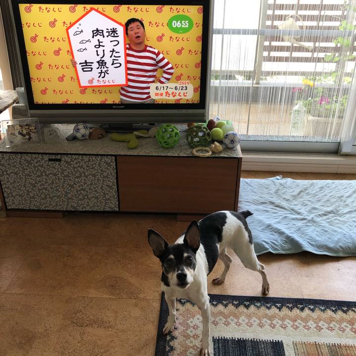 A1a8c5b9 4bd2 41ac be4d b17c6067b437 1560723202642