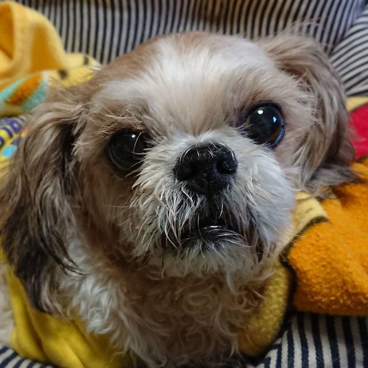 A1a90a18 85db 485e a967 b0971cf25e8c 1520175554499