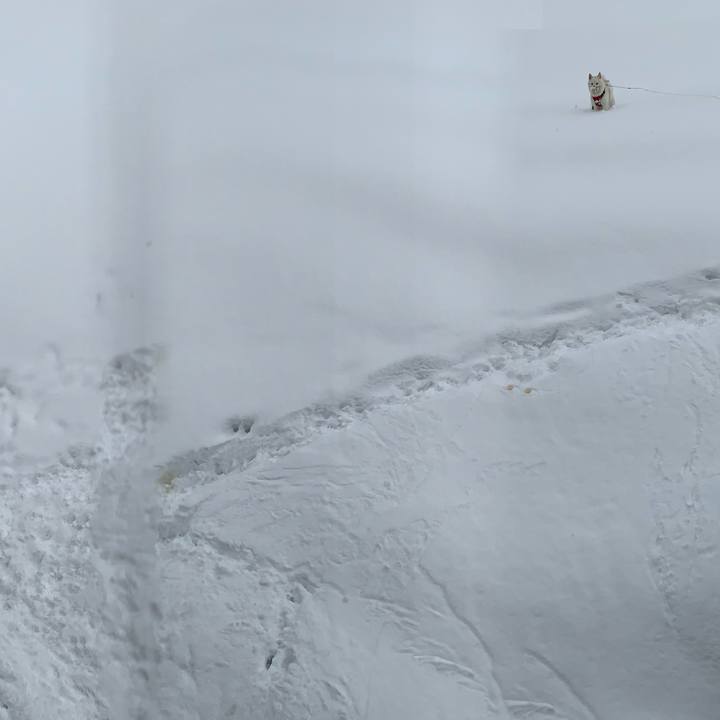 A1a91d7b 1702 4cb1 b956 ad6b2c026cda 1612572787394