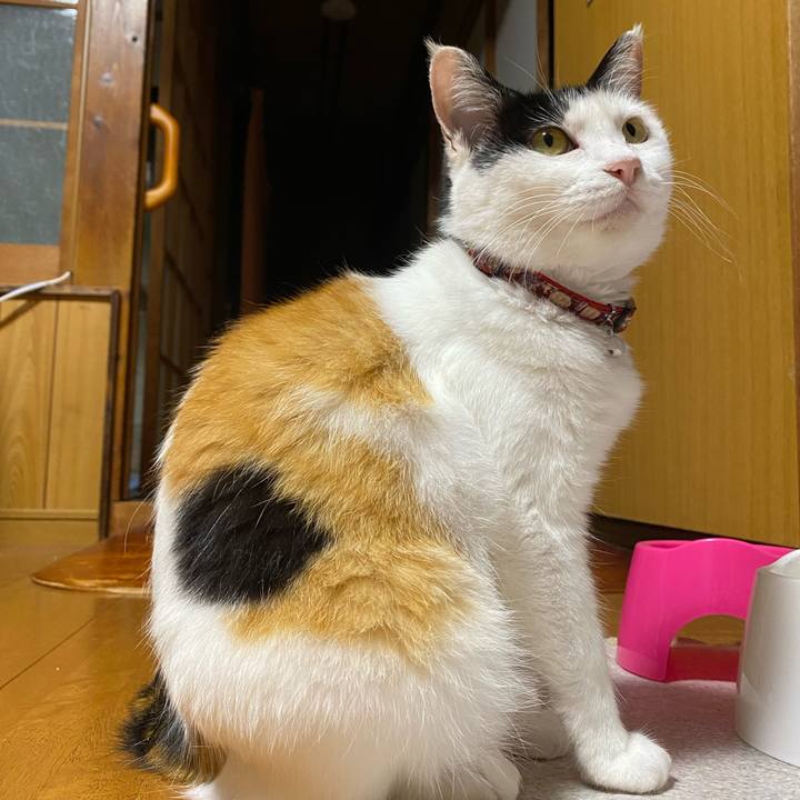 A1a93bf9 75b8 4086 bb09 a118734764f0 1655994269923