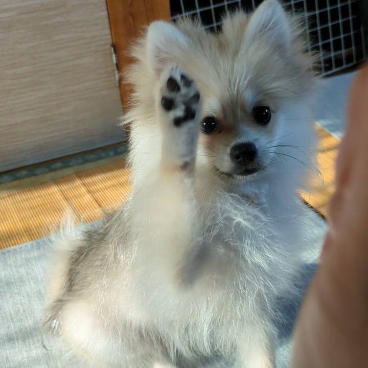 A1a93c22 b95d 441c 94fd dc4a9b4bc871 1751495734019