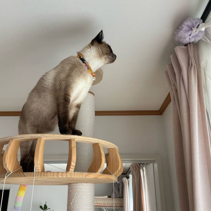 A1a9588a a90c 4e96 9be9 daa4bcbdc9a1 1723257559618