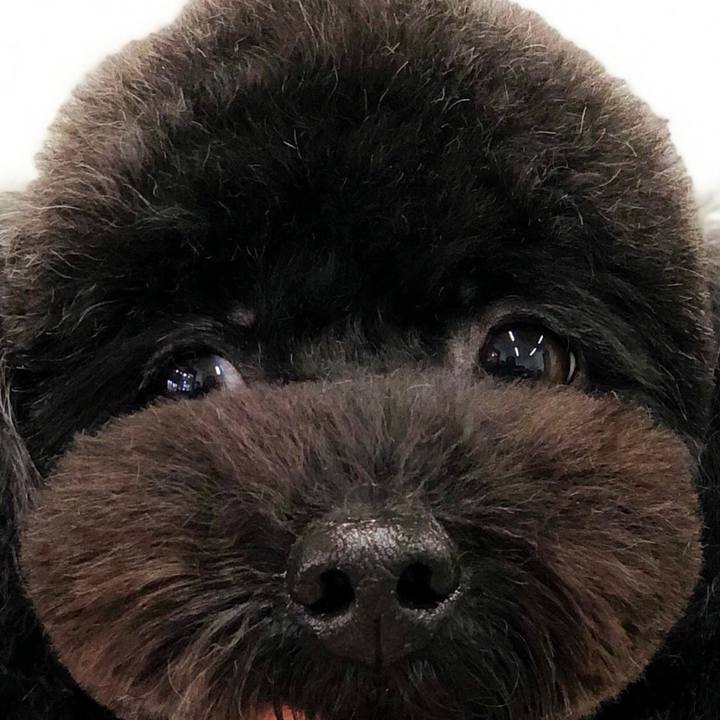 A1a95cb2 2af0 4724 aa66 cd58c6e70a01 1606561372557