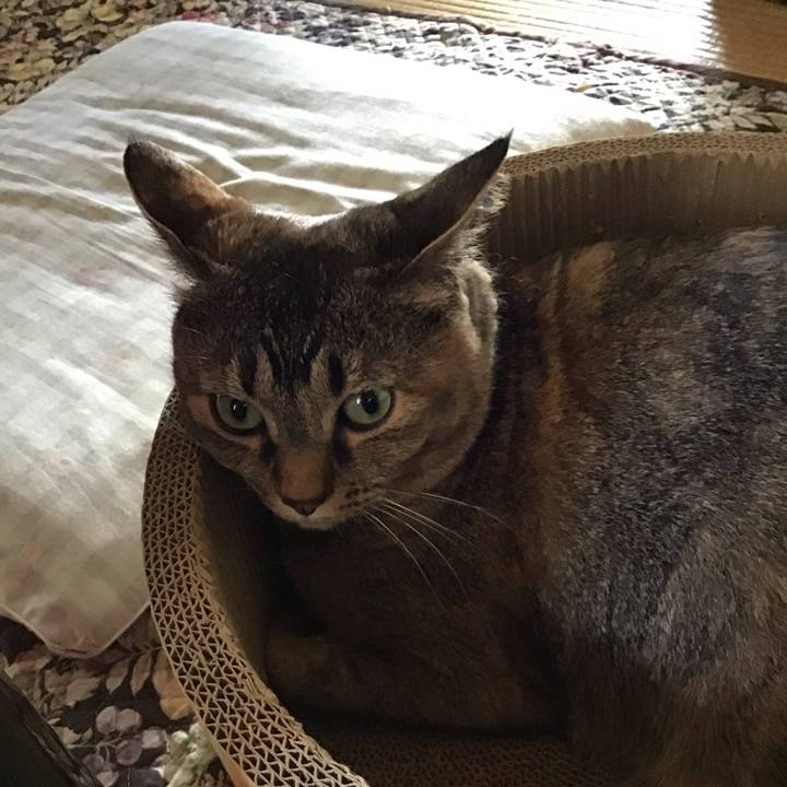 A1a97e5a 9971 40a4 918c 784ae3f242e1 1718085291327