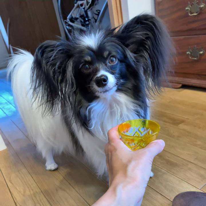 A1a98aa8 d8a9 4ef1 b436 ffd6db796cf6 1551948329953