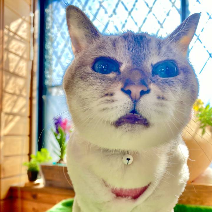 A1a9aa43 7a44 4910 8d9c 640ad2808589 1612413101557